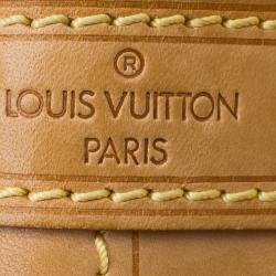 مملوكة مسبقًا حقيبة لوي فيتون نيو كانفاس آزور دامييه