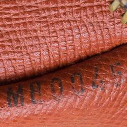 Pre Owned حقيبة لوي فيتون بابيلون كانفاس دامييه أيبين 30