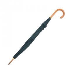 مملوكة مسبقًا مظلة لوي فيتون تايغا خضراء