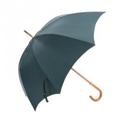 مملوكة مسبقًا مظلة لوي فيتون تايغا خضراء