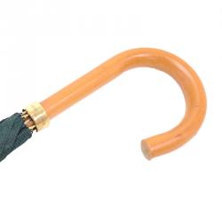 مملوكة مسبقًا مظلة لوي فيتون تايغا خضراء