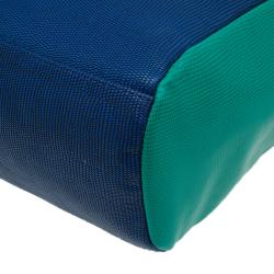 Pre Owned Marc by Marc Jacobs Blue/Green Lizard Stamped Take Me Tote 