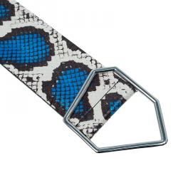 Pre Owned McQ by Alexander McQueen Python Hex Buckle Belt