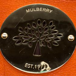 Pre Owned Mulberry Orange Leather Daria Fold-over Clutch 