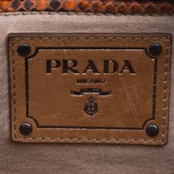 Pre Owned Prada Orange Python Flat Zip Clutch