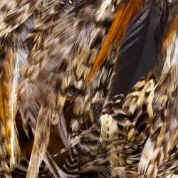 Pre Owned حقيبة سالفاتوري فيراغامو ريش متعدد الألوان