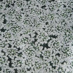 مملوكة مسبقًا توب توري برش حرير مورد مطبوع بلا أكمام M