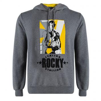 Pre Owned Dolce and Gabbana Grey Knit  Rocky Print Hoodie M