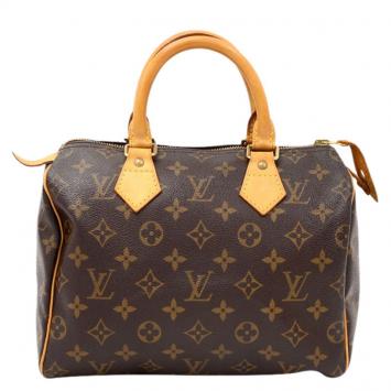 Pre Owned Louis Vuitton Monogram Canvas Speedy 25 Bag