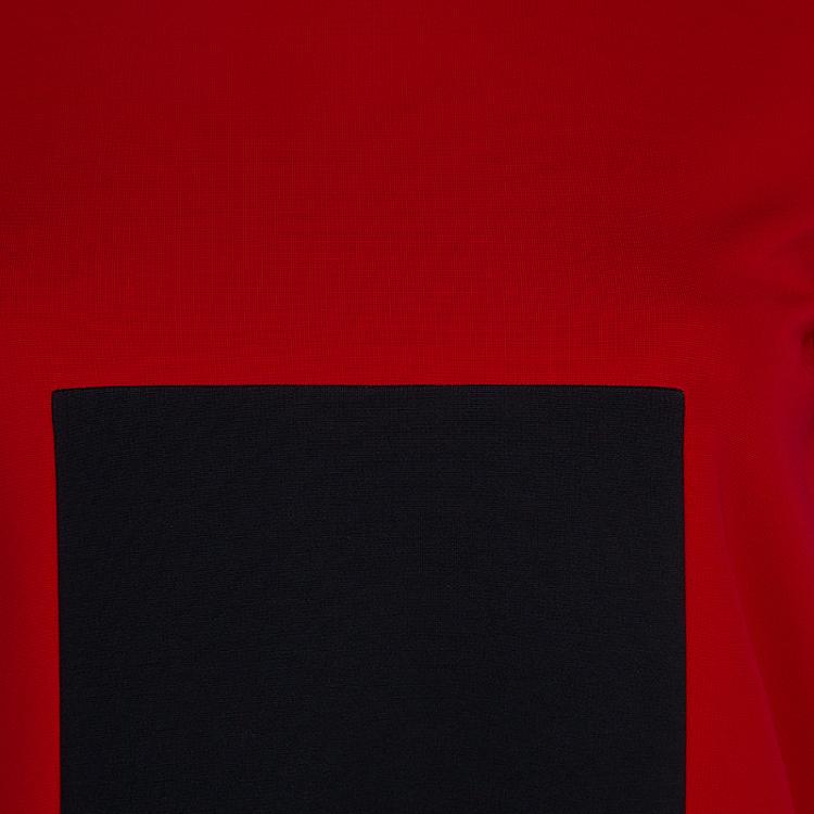 Pre Owned Alexander McQueen Red and Black Shift Dress S