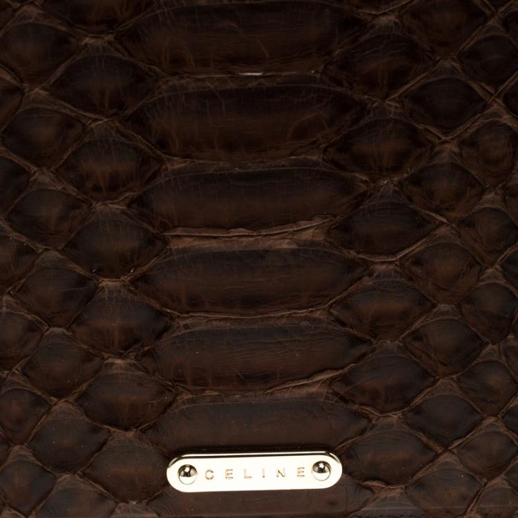 Pre Owned حقيبة صغيرة سيلين سحاب جلد ثعبان بنية