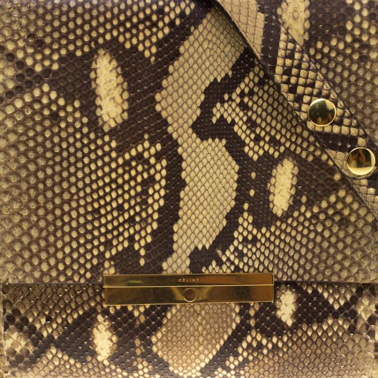 Pre Owned Celine Beige Python Blade Shoulder Bag