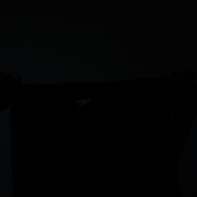 Pre Owned Chanel Black Silk Skirt M