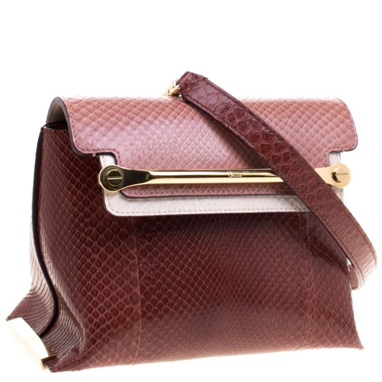 Pre Owned Chloe Multicolor Python Small Clare Shoulder Bag