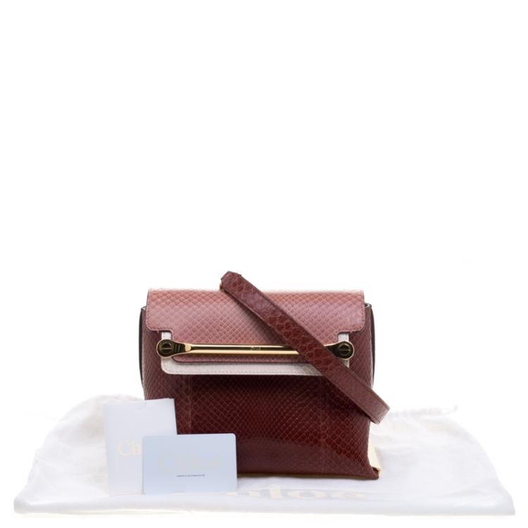 Pre Owned Chloe Multicolor Python Small Clare Shoulder Bag
