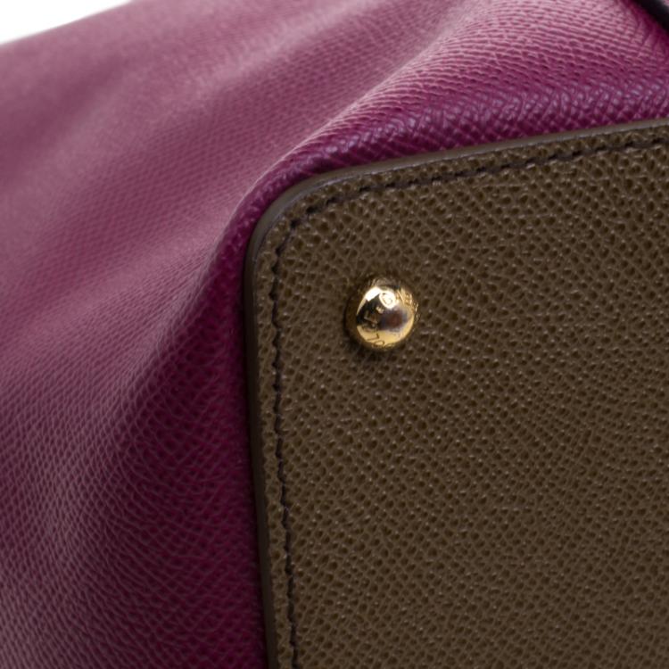 Pre Owned Dolce and Gabbana Purple/Brown Leather Miss Escape Tote