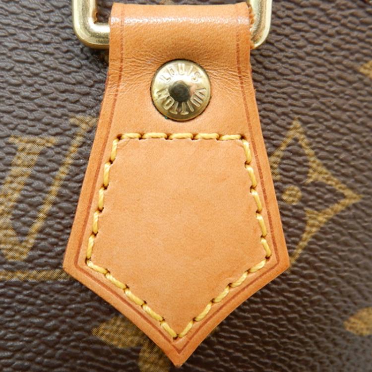Pre Owned Louis Vuitton Monogram Canvas Ellipse Top Handle Bag MM