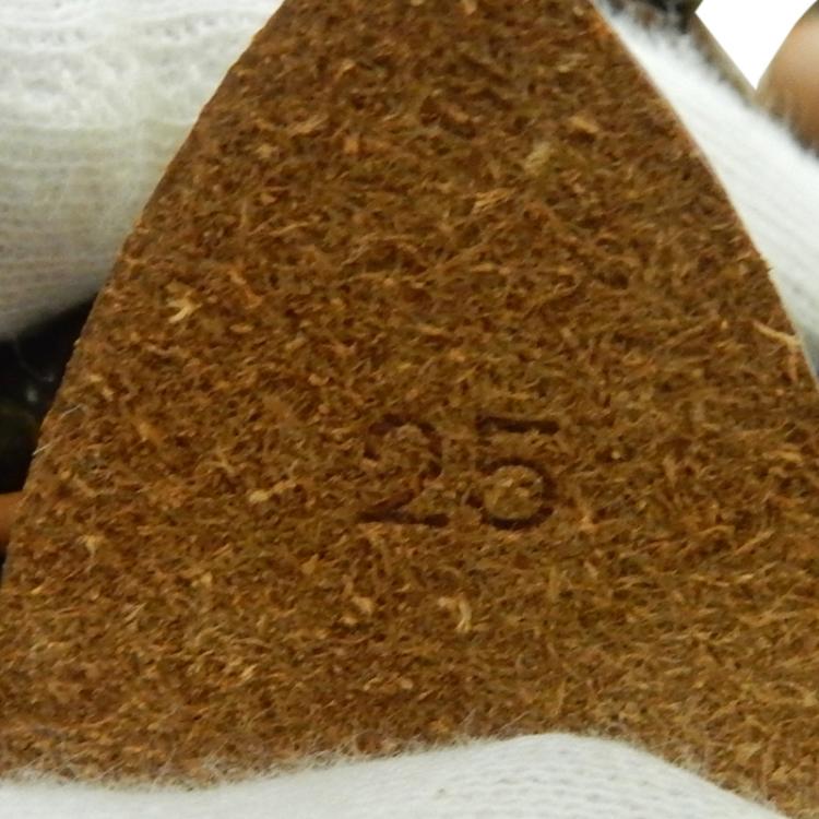 Pre Owned Louis Vuitton Monogram Canvas Speedy 25