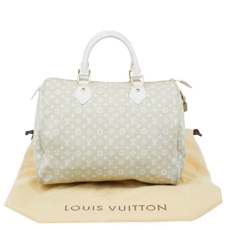 Pre Owned Louis Vuitton Dune Monogram Mini Lin Speedy 30 Bag