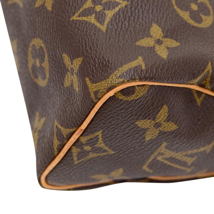 Pre Owned Louis Vuitton Monogram Canvas Mini Speedy HL Bag