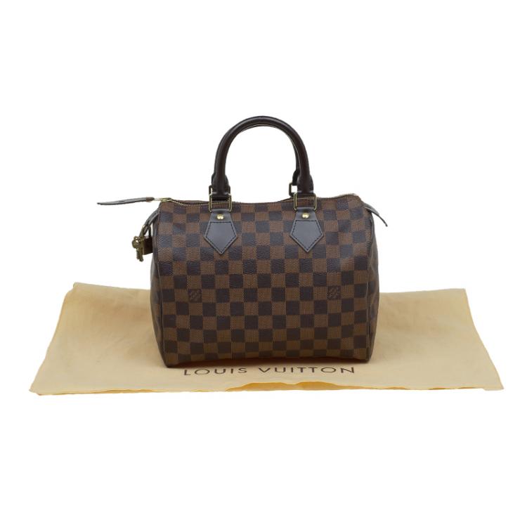 Pre Owned Louis Vuitton Damier Ebene Canvas Speedy 25 Bag