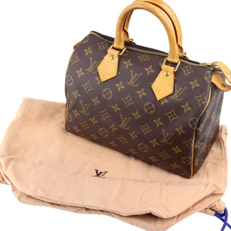 Pre Owned Louis Vuitton Monogram Canvas Speedy 25 Bag