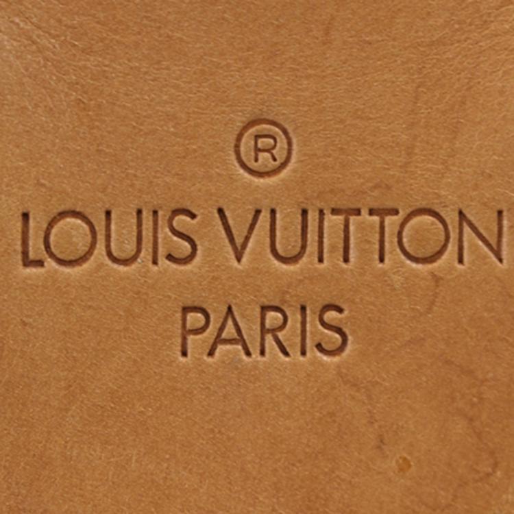 Pre Owned Louis Vuitton Monogram Canvas Montsouris Backpack GM