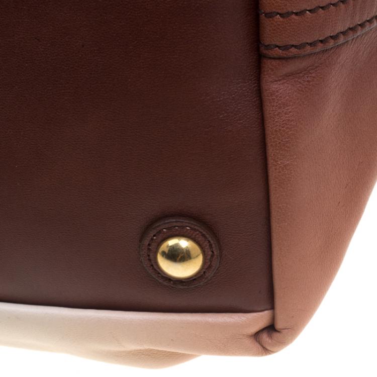 Pre Owned Saint Laurent Paris Ombre Leather Medium Easy Y  Bag