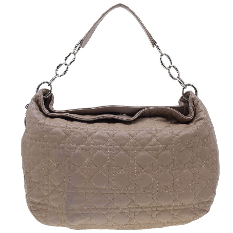 dior hobo