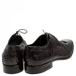 Baldinini Brown Python Leather Oxfords Size 39