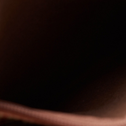 Pre Owned Burberry Brown/Beige Haymarket Coated Canvas and Leather Duffle Bag