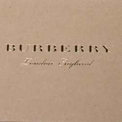 Pre Owned Burberry Green Leather Document Holder