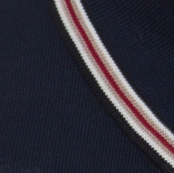 Pre Owned Burberry London Navy Blue Pique Knit Cotton Long Sleeve Polo T-Shirt S