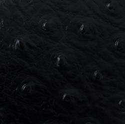 Pre Owned Cerruti 1881 Black Ostrich Embossed Leather Mayfair Bifold Wallet