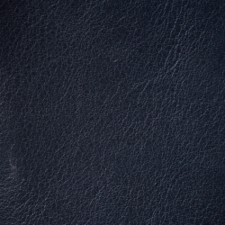 Dior Homme Navy Blue Leather Bifold Compact Wallet