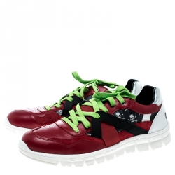 مملوكة مسبقًا Dolce and Gabbana Multicolor Leather and Skull and Crossbone Print Canvas Jamaica Sneakers Size 43.5