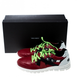 مملوكة مسبقًا Dolce and Gabbana Multicolor Leather and Skull and Crossbone Print Canvas Jamaica Sneakers Size 43.5