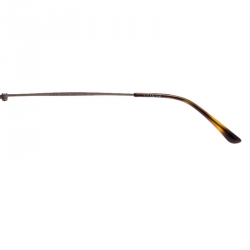 Giorgio Armani Metallic/Brown AR6018-T Titanium Frame of Life Sunglasses