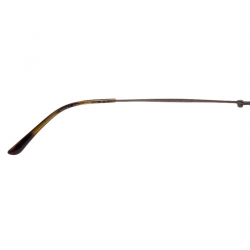 Giorgio Armani Metallic/Brown AR6018-T Titanium Frame of Life Sunglasses