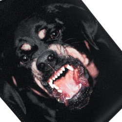 Givenchy Black Coated Canvas Rottweiler IPad Mini Case