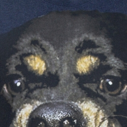 Pre Owned Givenchy Navy Blue Cotton Rottweiler Print Crew Neck T Shirt M