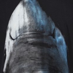 Pre Owned Givenchy Black Shark Print Cotton T-Shirt M