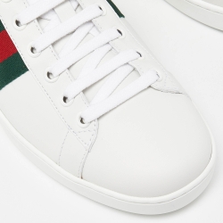 مملوكة مسبقًا Gucci White Leather Web Detail Bee Embroidered Ace Low Top Sneakers Size 40