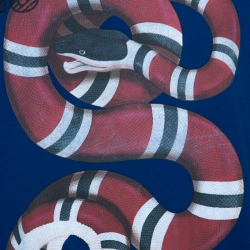 Pre Owned Gucci Blue Distressed Snake Print Cotton Soave Amore T-Shirt L