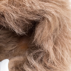 Pre Owned Gucci White Leather and Fur Ace Embroidered Bee Low Top Sneaker Size 42