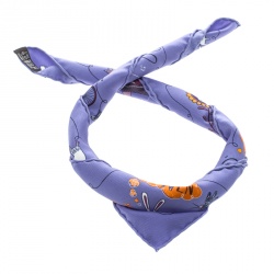 Pre Owned Hermes Blue Les Confessions Printed Silk Pocket Square