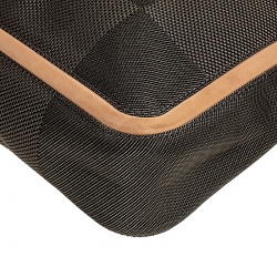 Louis Vuitton Terre Damier Geant Canvas Vertical Messenger Bag