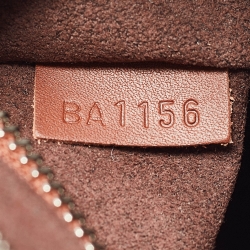 مملوكة مسبقًا Louis Vuitton Acajou Ombre Leather Reporter Messenger Bag