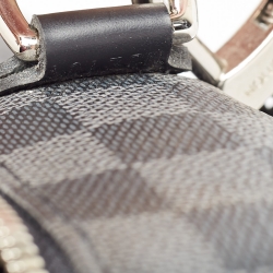 Pre Owned Louis Vuitton Damier Graphite Canvas Steeve Briefcase Bag