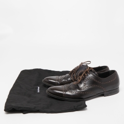 Dolce & Gabbana Brown Brogue Leather Lace Up Derby Size 41